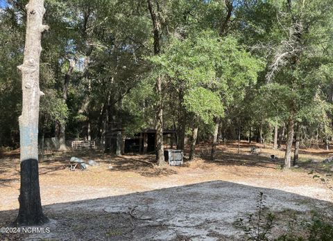 Tiny photo for 6715 Canetuck Road, Currie, NC 28435 (MLS # 100526006)