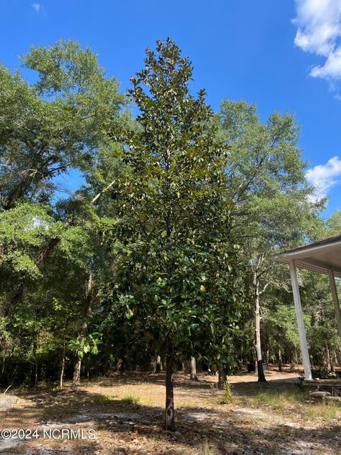Tiny photo for 6715 Canetuck Road, Currie, NC 28435 (MLS # 100526006)