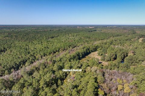Tiny photo for 6715 Canetuck Road, Currie, NC 28435 (MLS # 100526006)