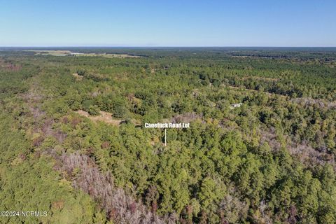Tiny photo for 6715 Canetuck Road, Currie, NC 28435 (MLS # 100526006)