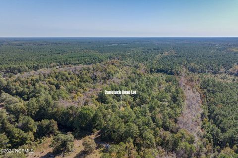 Tiny photo for 6715 Canetuck Road, Currie, NC 28435 (MLS # 100526006)