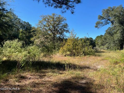 Tiny photo for 6715 Canetuck Road, Currie, NC 28435 (MLS # 100526006)