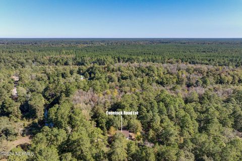 Tiny photo for 6715 Canetuck Road, Currie, NC 28435 (MLS # 100526006)