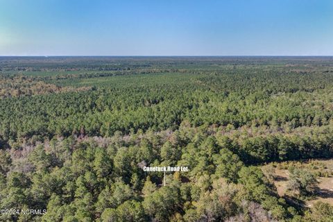 Tiny photo for 6715 Canetuck Road, Currie, NC 28435 (MLS # 100526006)
