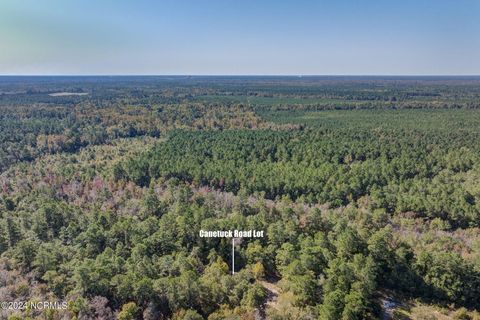 Tiny photo for 6715 Canetuck Road, Currie, NC 28435 (MLS # 100526006)