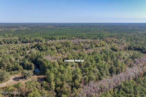 Tiny photo for 6715 Canetuck Road, Currie, NC 28435 (MLS # 100526006)
