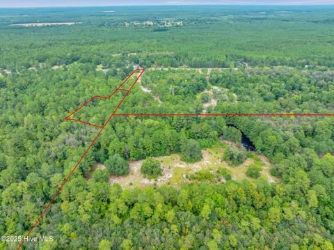 Tiny photo for 6715 Canetuck Road, Currie, NC 28435 (MLS # 100526006)
