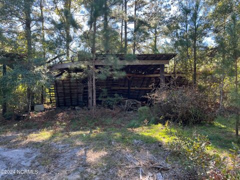 Tiny photo for 6715 Canetuck Road, Currie, NC 28435 (MLS # 100526006)