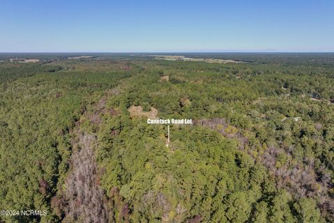 Tiny photo for 6715 Canetuck Road, Currie, NC 28435 (MLS # 100526006)