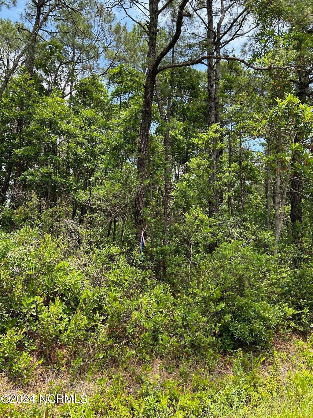 Photo of 1695 Beech Road, Southport, NC 28461 (MLS # 100448826)