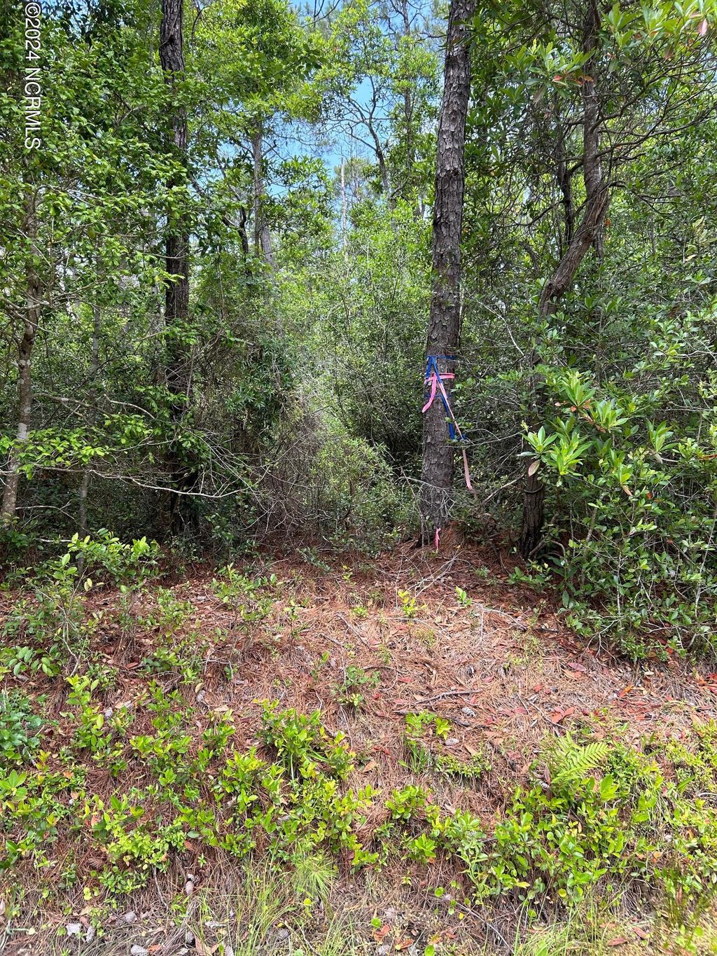 Photo of 1695 Beech Road, Southport, NC 28461 (MLS # 100448826)