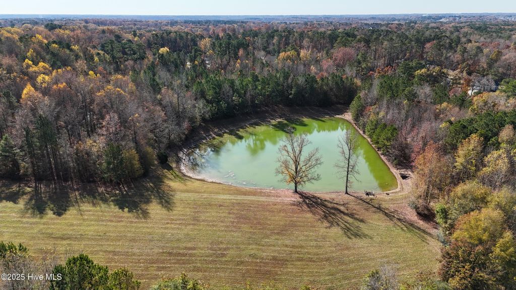 Photo of 0 Fanny Brown Road, Raleigh, NC 27603 (MLS # 100542594)