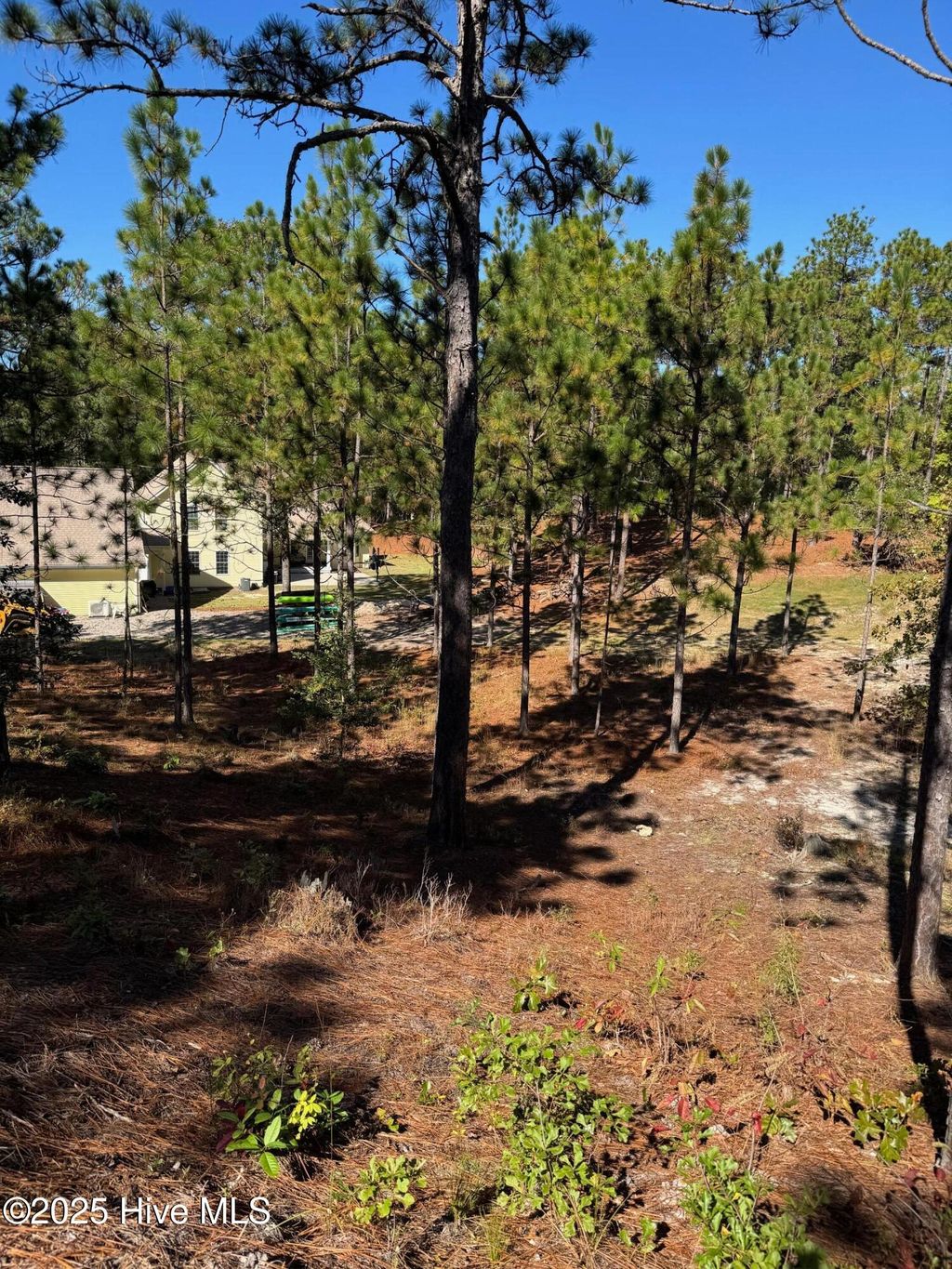 Photo of 106 Parker Court, West End, NC 27376 (MLS # 100536879)
