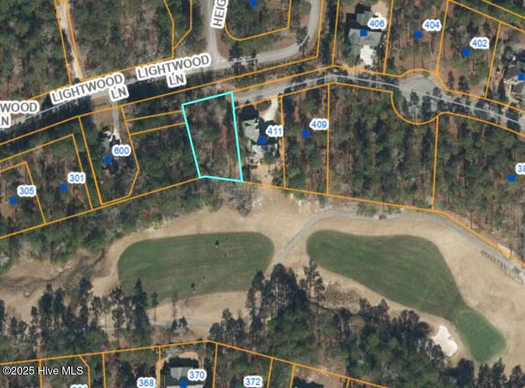 Photo of 413 River Crest Drive, Shallotte, NC 28470 (MLS # 100513720)