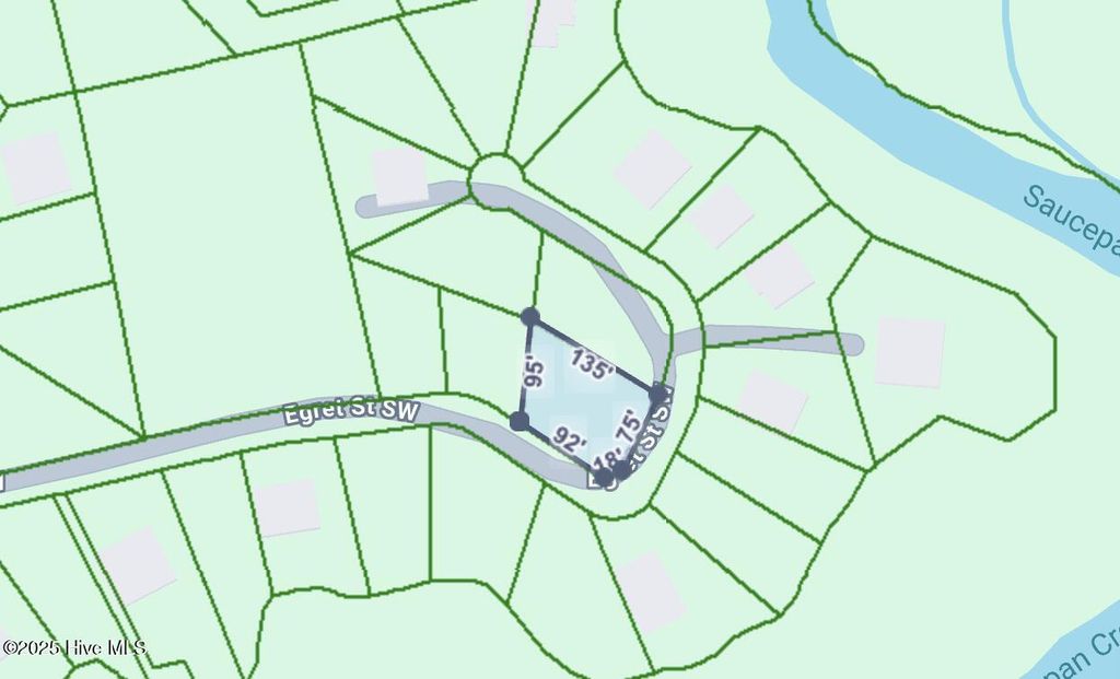 Photo of 1900 Egret Street SW, Shallotte, NC 28470 (MLS # 100539252)