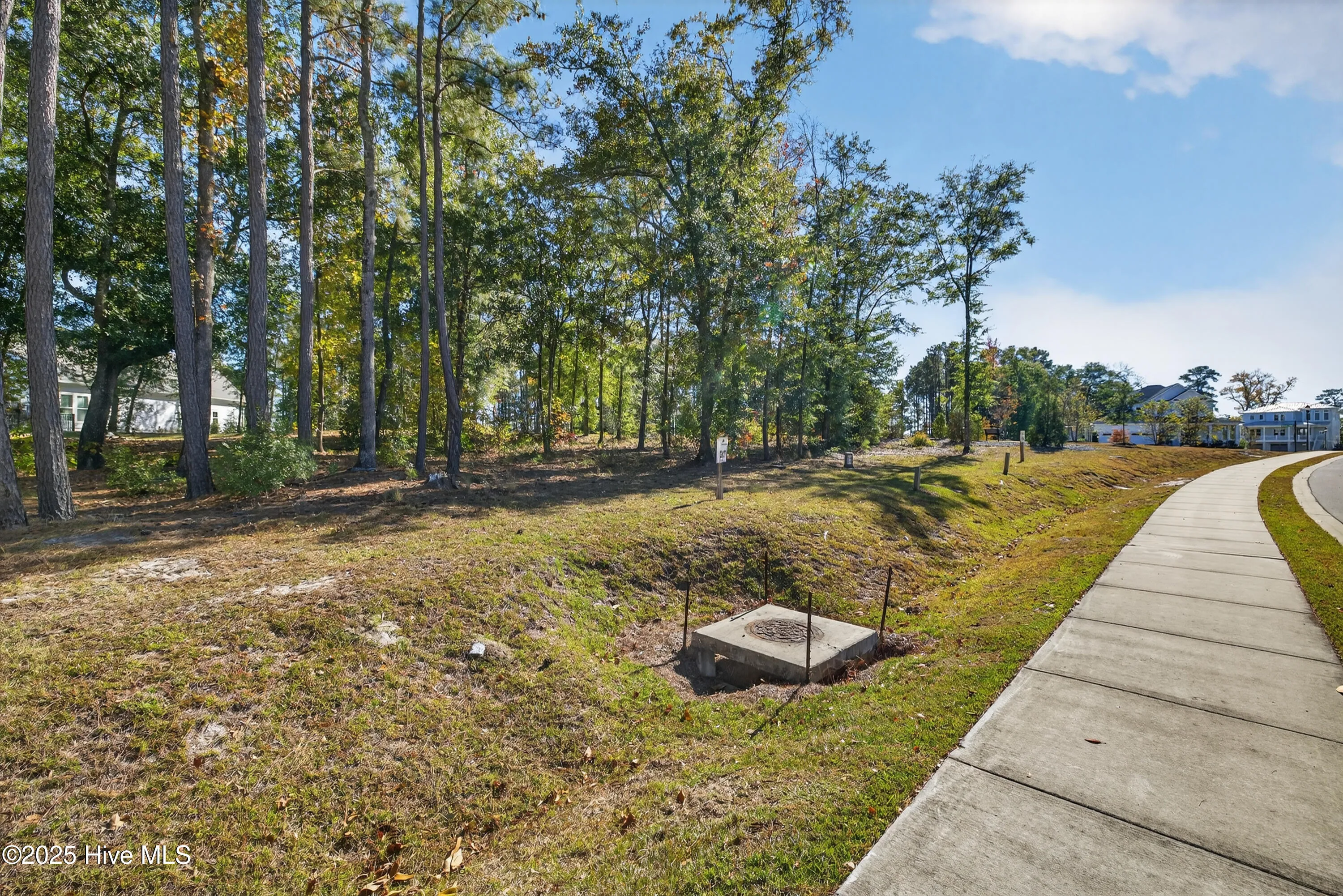 Wilmington, North Carolina 28401, United States, ,Land,Active,245013