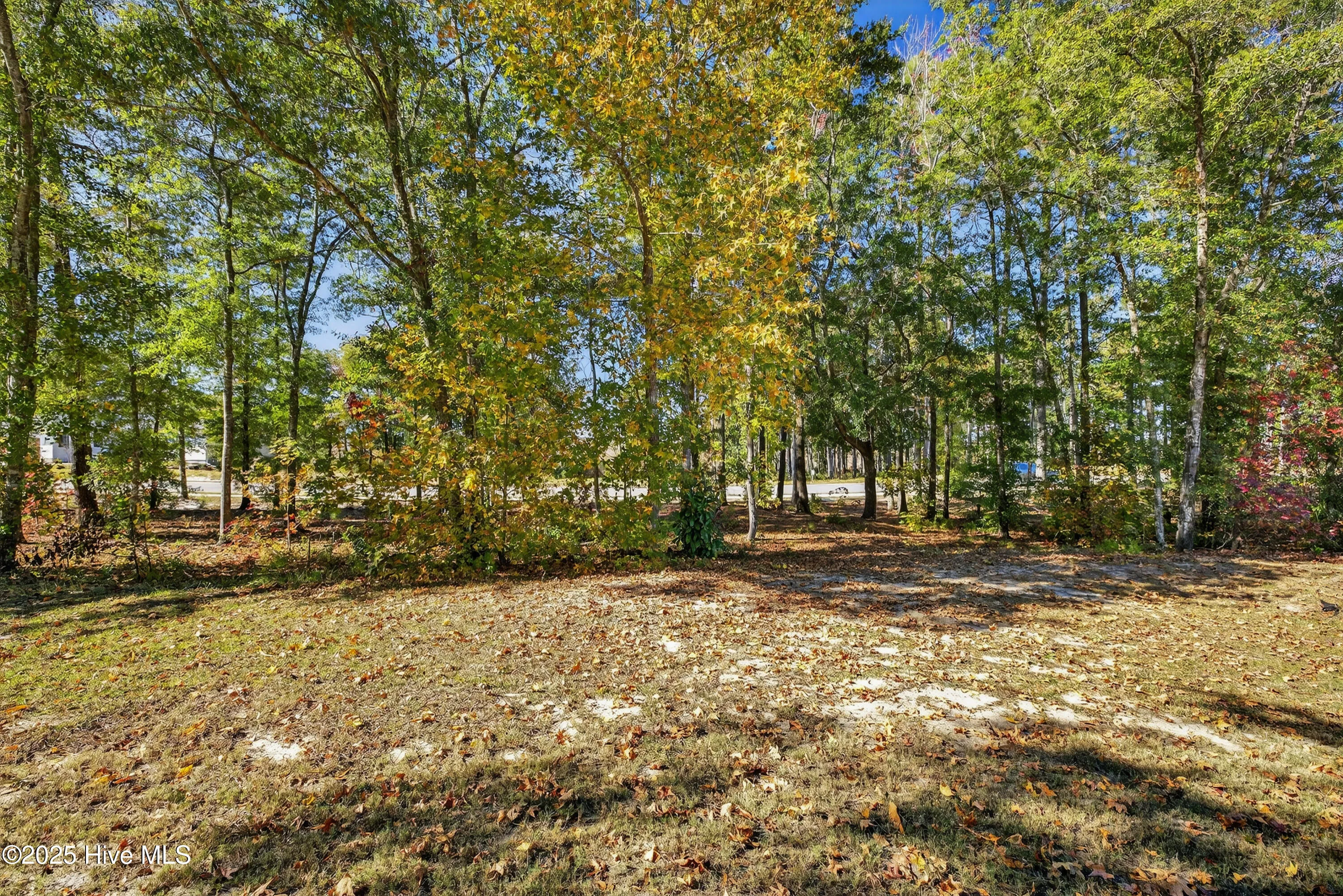 Wilmington, North Carolina 28401, United States, ,Land,Active,245013