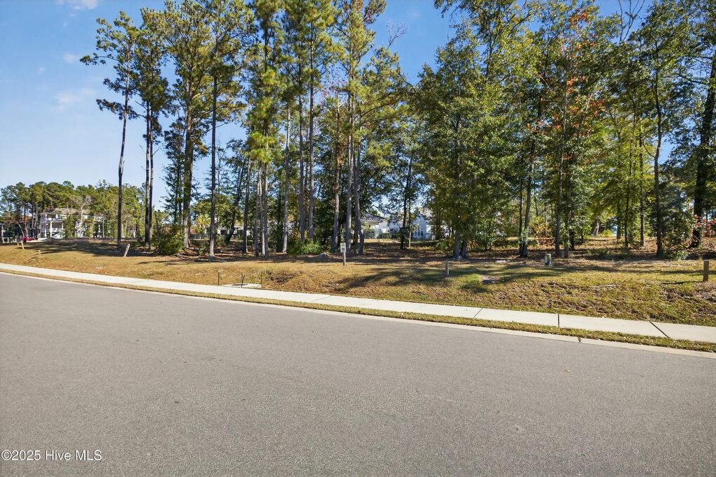 Photo of 1536 Riverview Terrace, Wilmington, NC 28401 (MLS # 100541672)