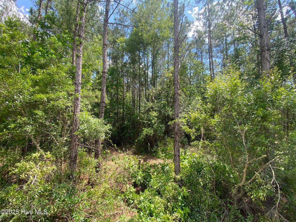 Photo of 8891 Millers Path NE, Leland, NC 28451 (MLS # 100509295)