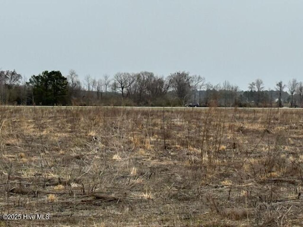 Photo of Tbd Caratoke Highway, Moyock, NC 27958 (MLS # 100485090)