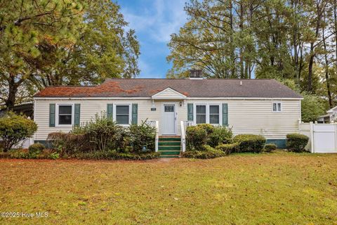 Photo of 103 John Avenue, Greenville, NC 27858 (MLS # 100539010)