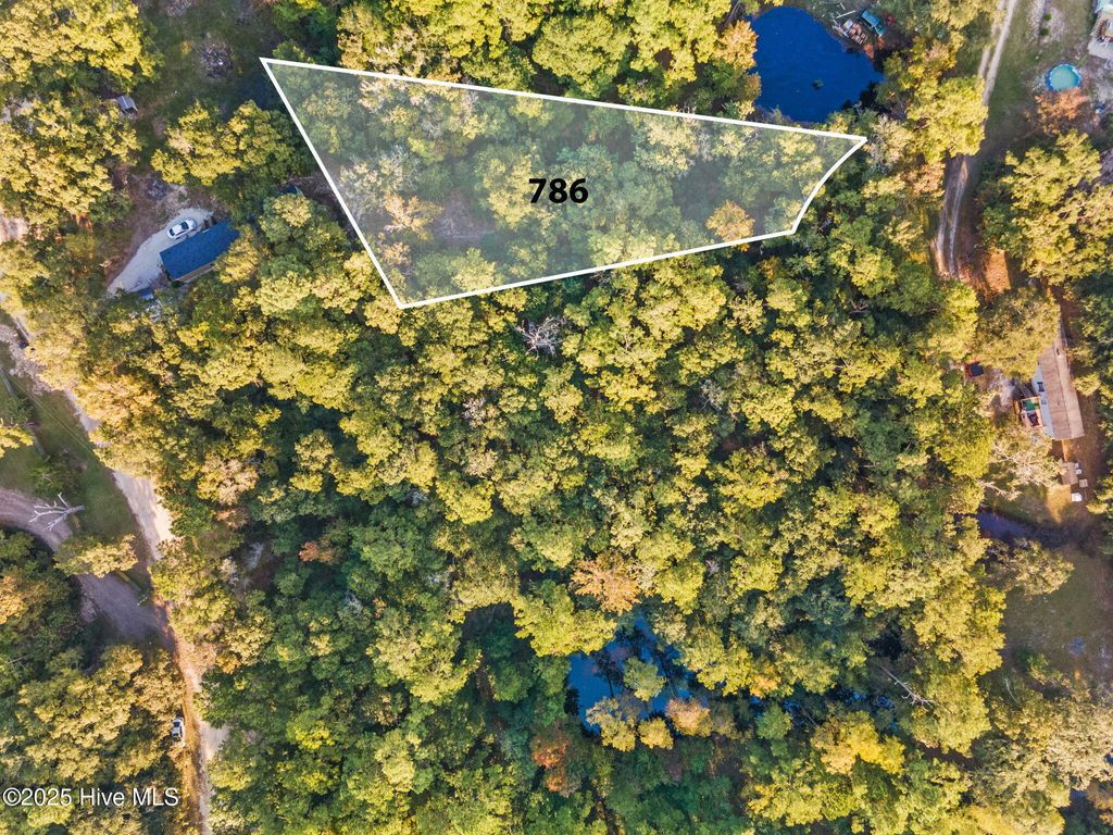 Photo of 786 Pondview Drive SE, Bolivia, NC 28422 (MLS # 100499617)