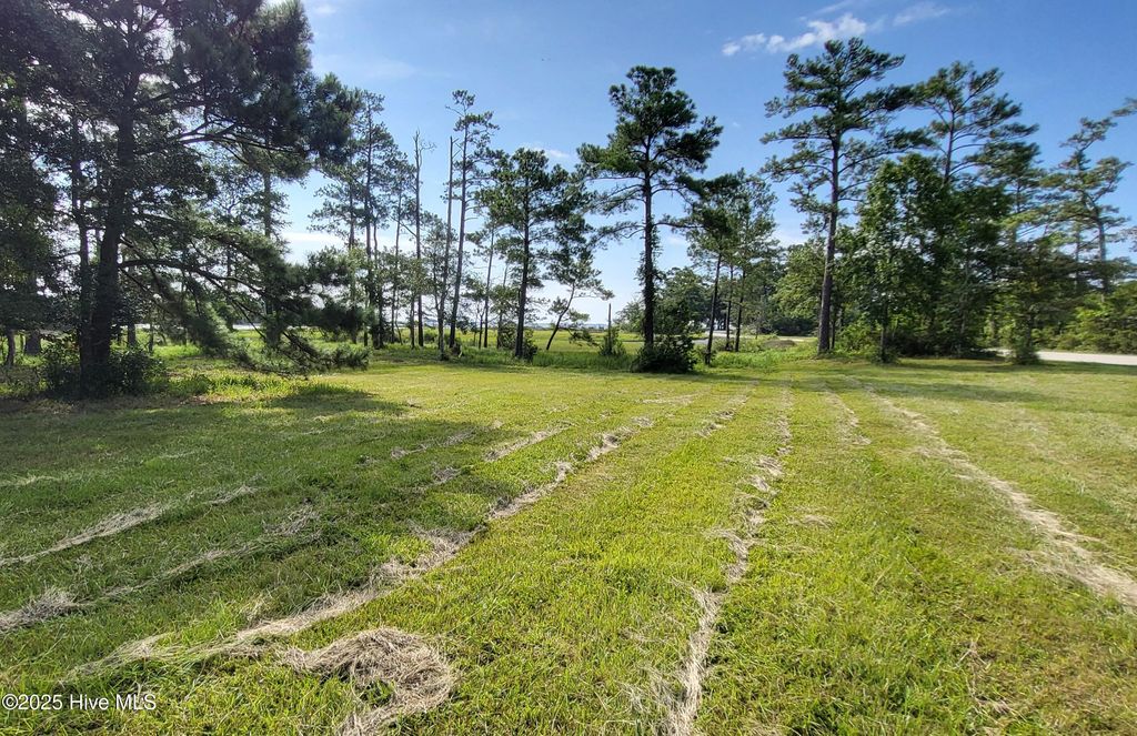 Photo of 3032 Mill Creek Road, Newport, NC 28570 (MLS # 100425054)