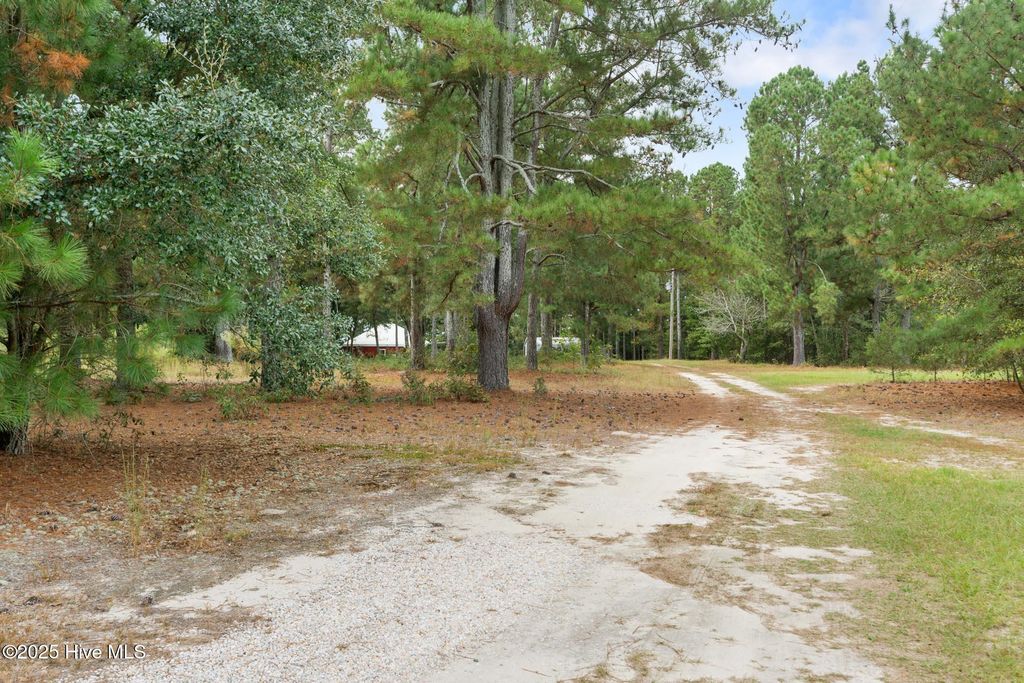 Photo of 151 Godfrey Road, Ellerbe, NC 28338 (MLS # 100535455)