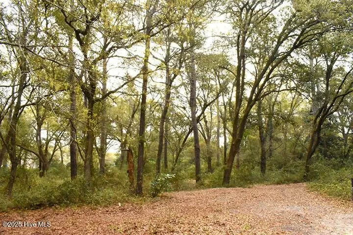 Hampstead, North Carolina 28443, United States, ,Land,Active,101018