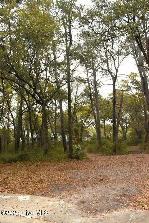 Hampstead, North Carolina 28443, United States, ,Land,Active,101018