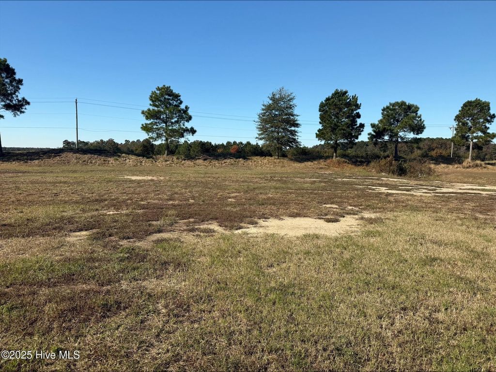 Photo of 136 Pinewood Cove, Snow Hill, NC 28580 (MLS # 100539090)