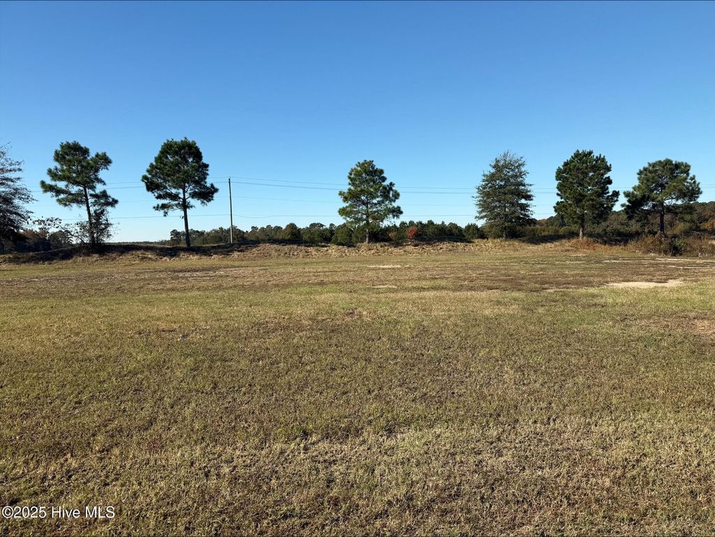 Photo of 136 Pinewood Cove, Snow Hill, NC 28580 (MLS # 100539090)