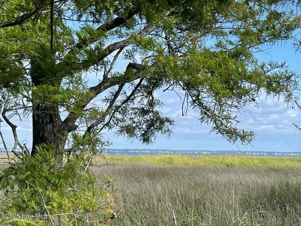 Photo of 239 Garbacon Drive, Beaufort, NC 28516 (MLS # 100524237)