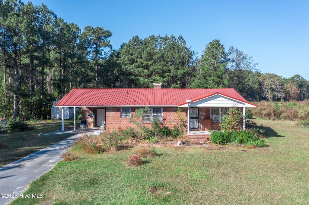 Photo of 14962 Twisted Hickory Road, Bladenboro, NC 28320 (MLS # 100539245)