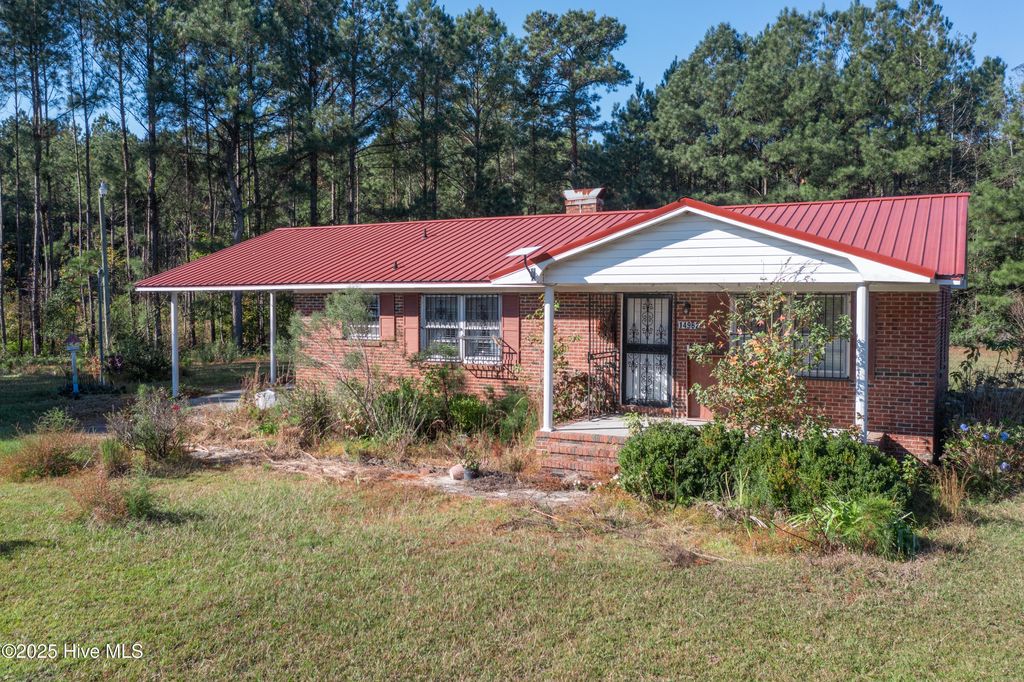 Photo of 14962 Twisted Hickory Road, Bladenboro, NC 28320 (MLS # 100539245)