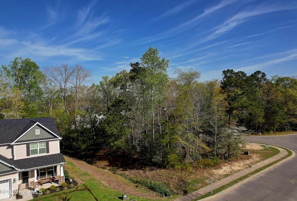 Photo of 976 Billys Dream Circle SW, Supply, NC 28462 (MLS # 100500002)