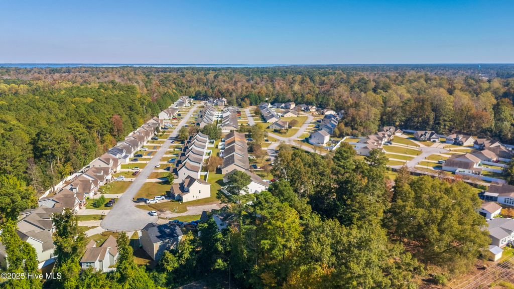 Photo of 318 Hawks Bluff Drive, New Bern, NC 28560 (MLS # 100543481)