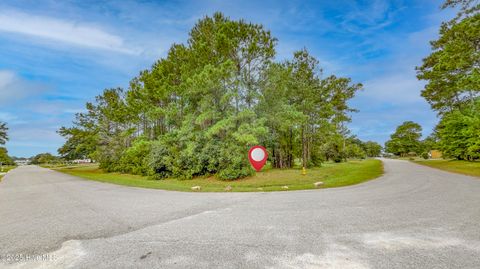 Tiny photo for 359 Hamilton Drive SE, Bolivia, NC 28422 (MLS # 100535902)