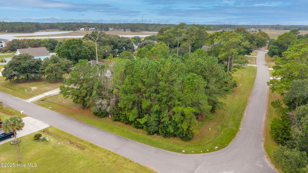 Photo of 359 Hamilton Drive SE, Bolivia, NC 28422 (MLS # 100535902)