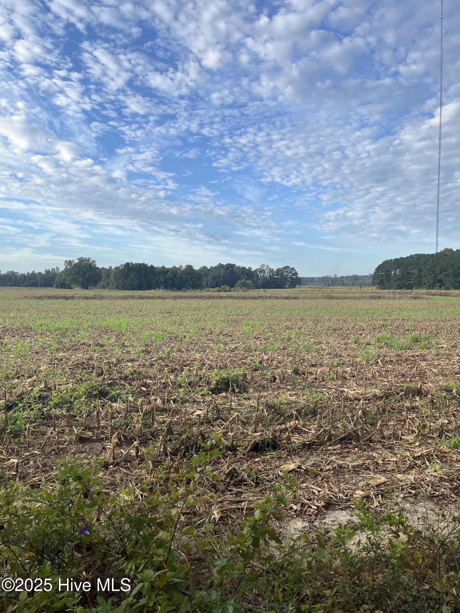 1113&1182 Kingfield Road