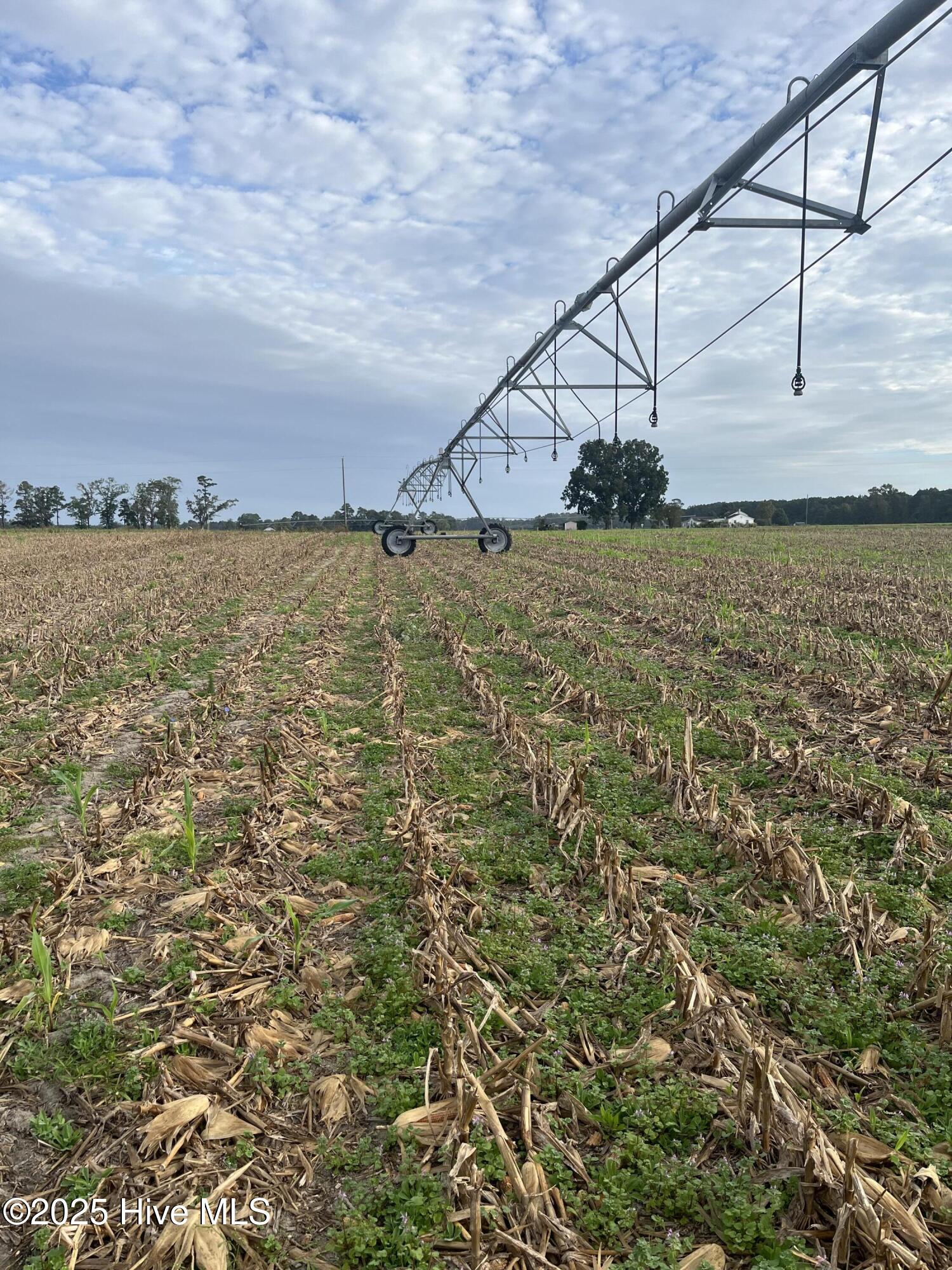 1113&1182 Kingfield Road