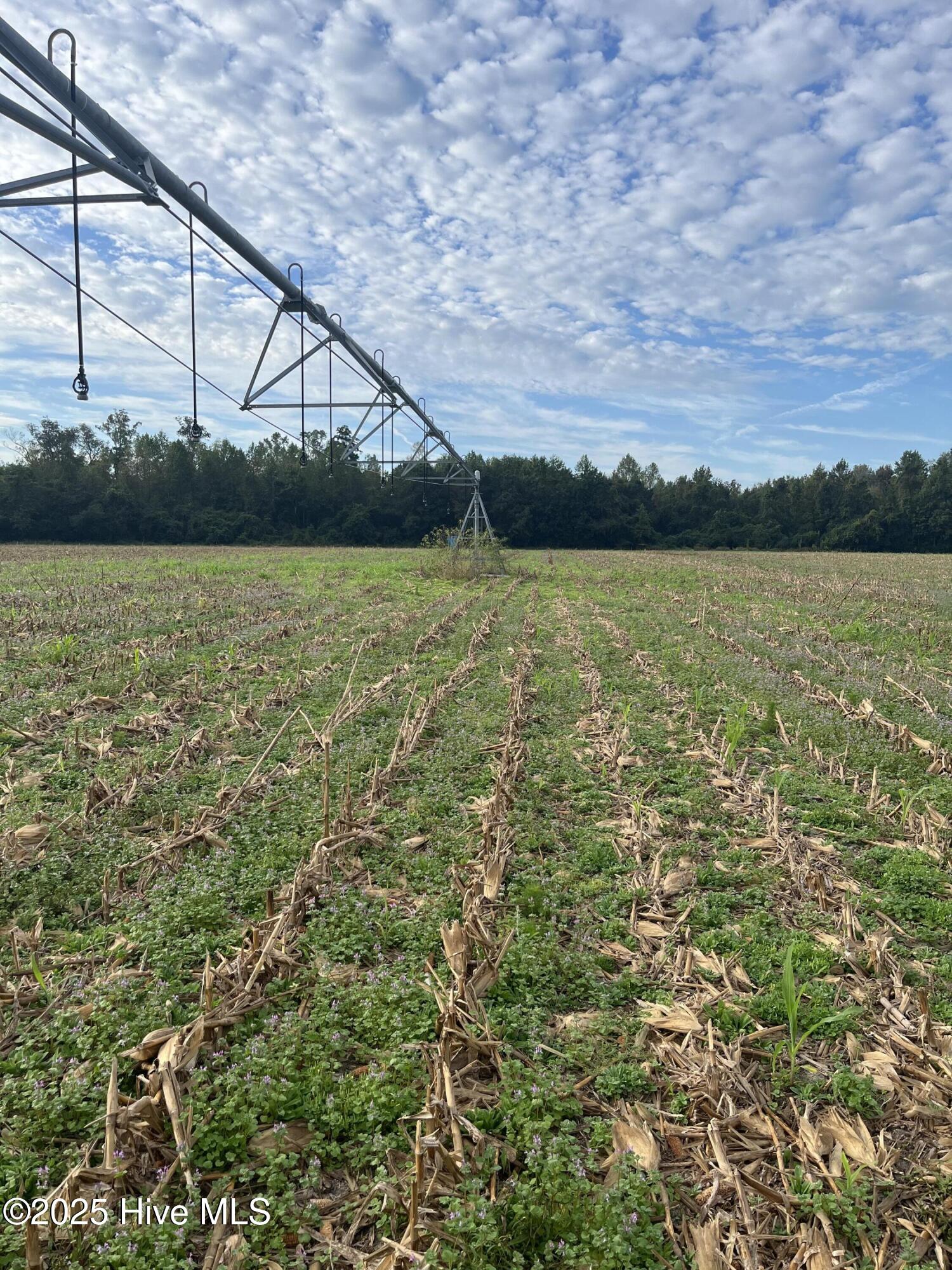 1113&1182 Kingfield Road