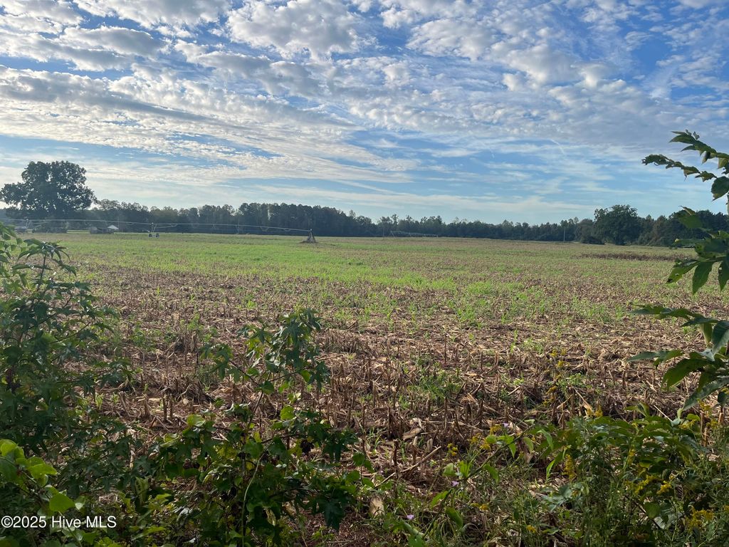 Photo of 11131182 Kingfield Road, Trenton, NC 28585 (MLS # 100536050)