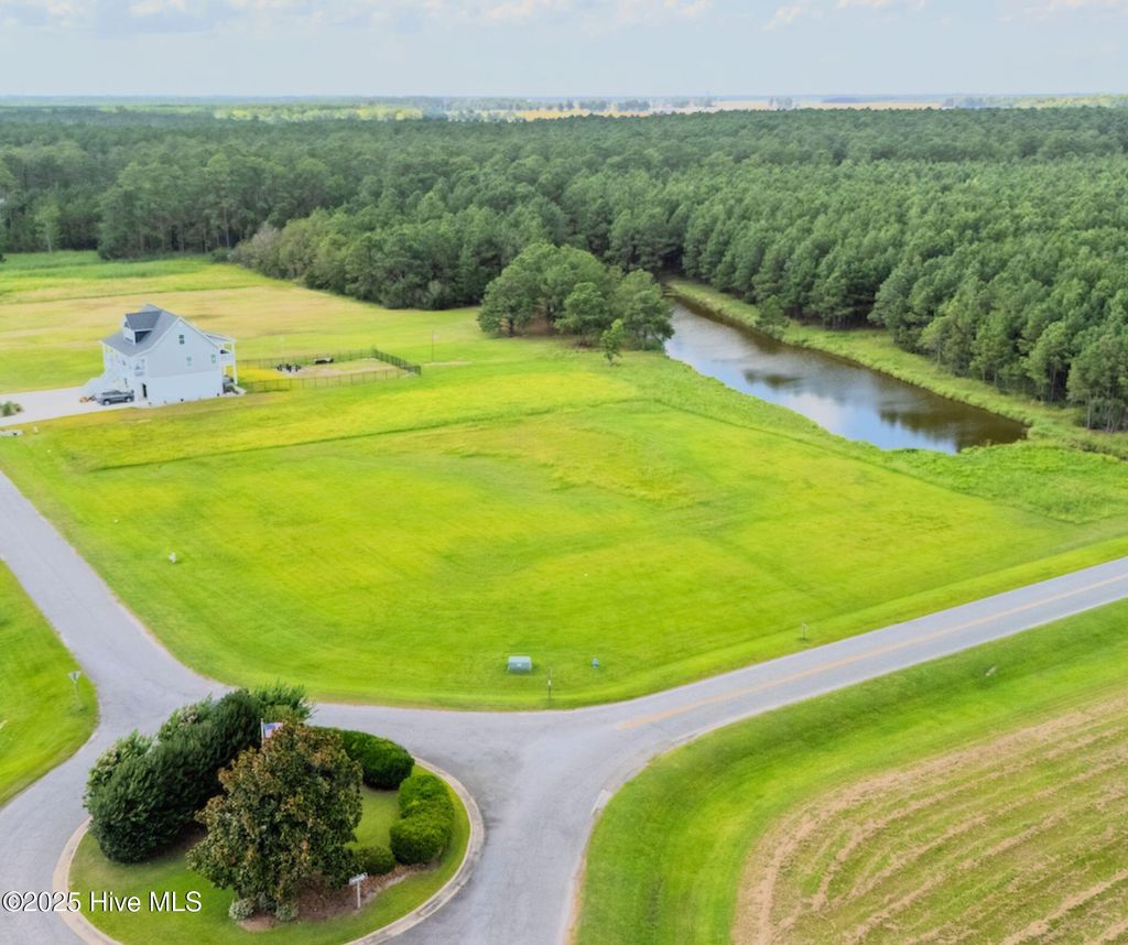 Photo of 71 W Dowry Creek, Belhaven, NC 27810 (MLS # 100520677)