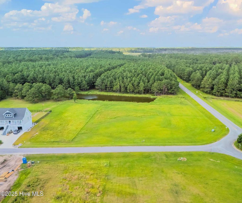 Photo of 71 W Dowry Creek, Belhaven, NC 27810 (MLS # 100520677)