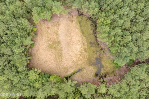 Tiny photo for 0 Chadwick Lane, Burgaw, NC 28425 (MLS # 100526567)