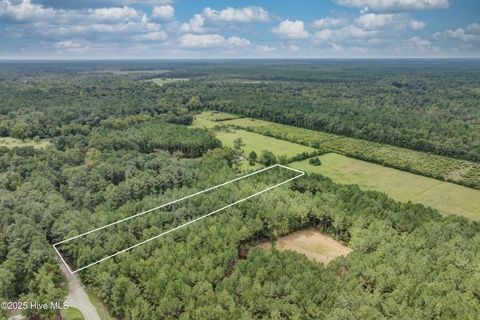 Tiny photo for 0 Chadwick Lane, Burgaw, NC 28425 (MLS # 100526567)