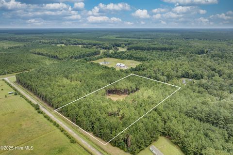Tiny photo for 0 Chadwick Lane, Burgaw, NC 28425 (MLS # 100526567)