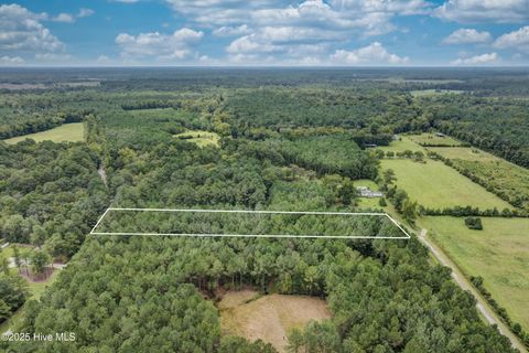 Tiny photo for 0 Chadwick Lane, Burgaw, NC 28425 (MLS # 100526567)