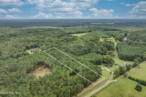 Tiny photo for 0 Chadwick Lane, Burgaw, NC 28425 (MLS # 100526567)